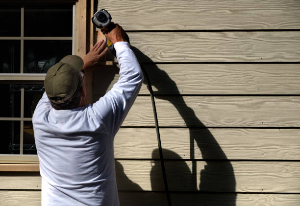 Best Vinyl Siding Installation  in Linln Park, CO